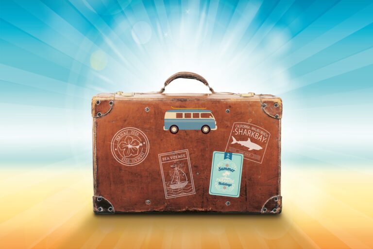 Comment assurer la sécurité de vos appareils électroniques en voyage ?