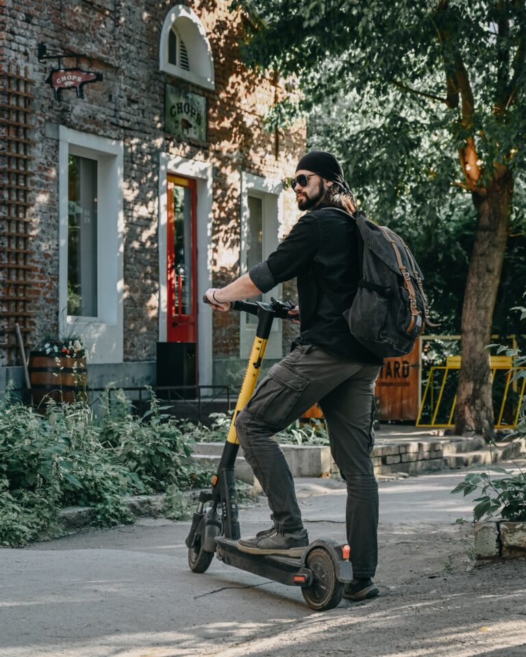 dualtron mini