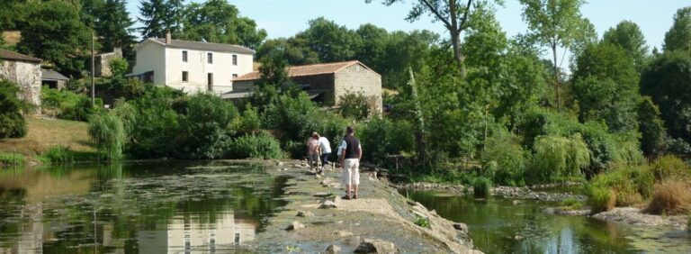 activité a chantonnay