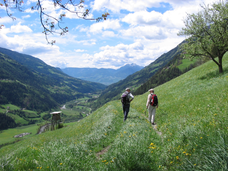 Vue panoramique de la nature