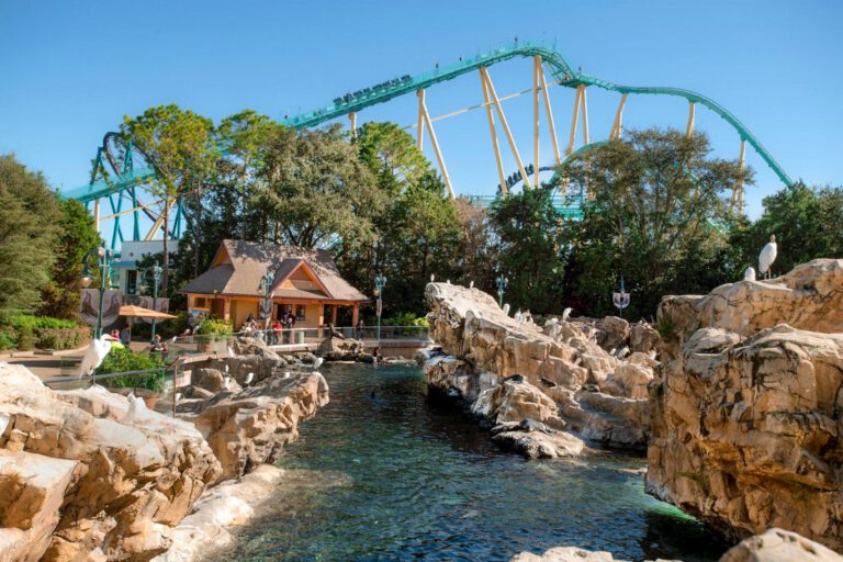 Guide des billets Costco SeaWorld | Offres 2023 et tout ce qu'il faut savoir