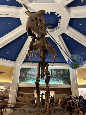 squelette de dinosaure du règne animal