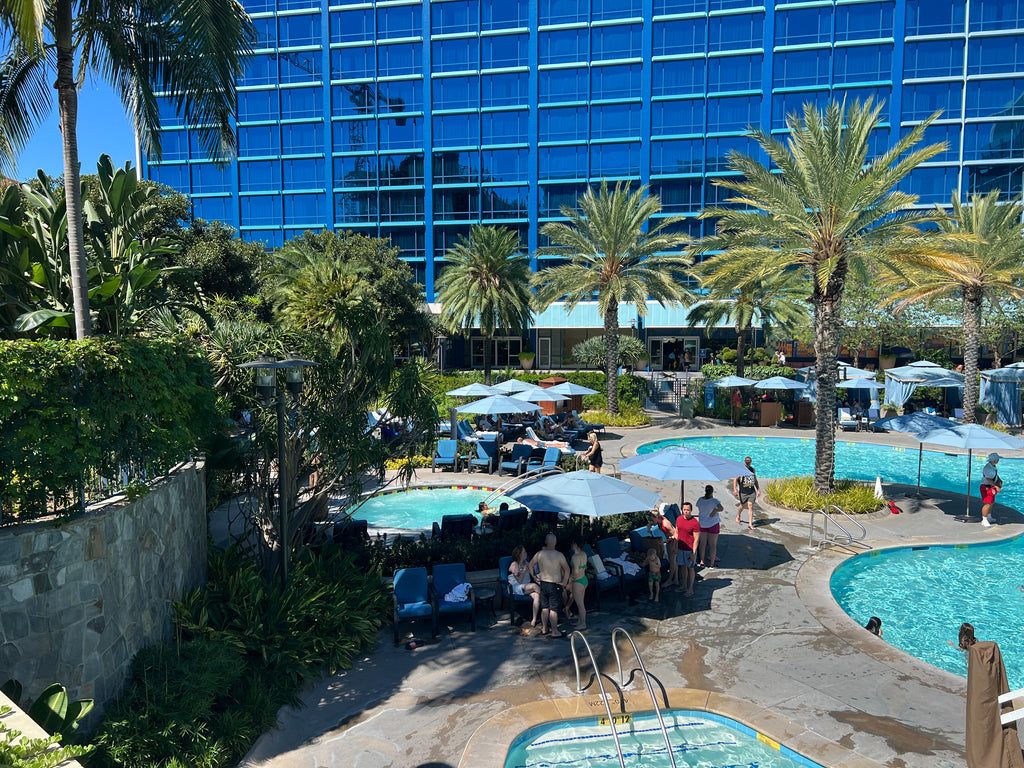 Aperçu des piscines de l’hôtel Disneyland