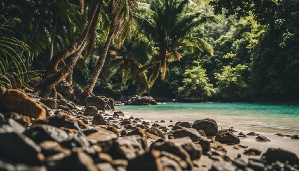 Découvrir les trésors cachés des plages de Guadeloupe