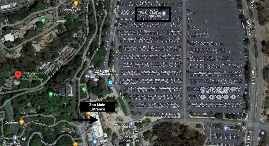 Guide ultime du stationnement du zoo de San Diego 2023 |  FAQ et meilleurs emplacements de stationnement