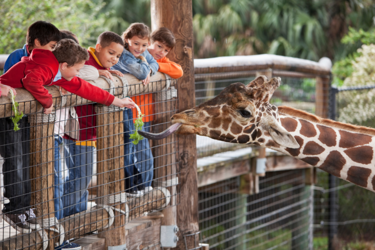 enfants au zoo