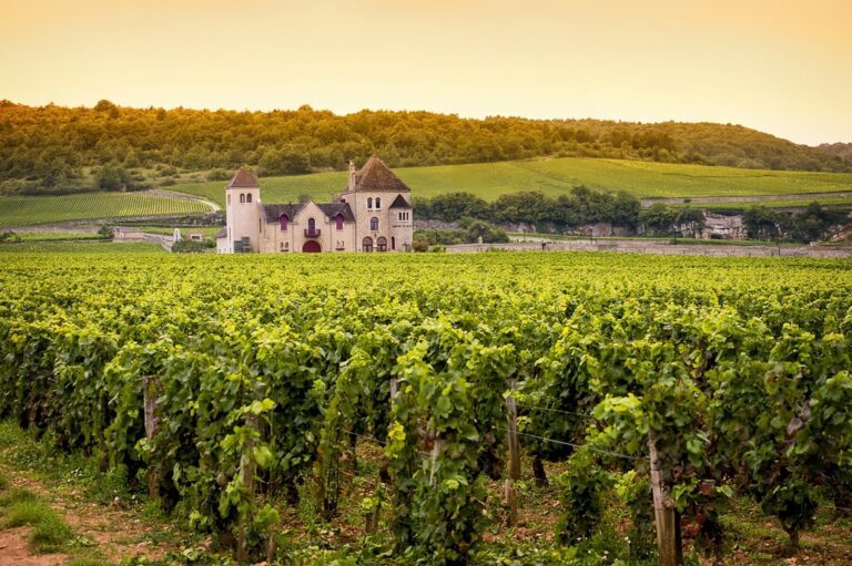 Beaune hors des sentiers battus : quelles activités originales découvrir ?