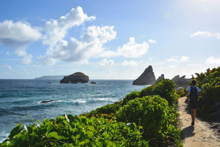 Pourquoi la Pointe des Châteaux est un incontournable de la Guadeloupe ?