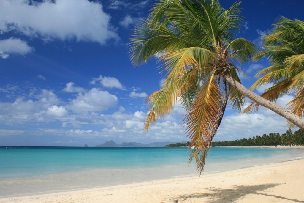 Quelles sont les plus belles plages de Martinique à découvrir ?