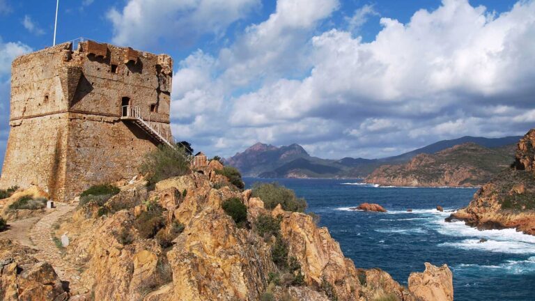 Découverte du golfe de Porto : un joyau naturel de Corse à explorer