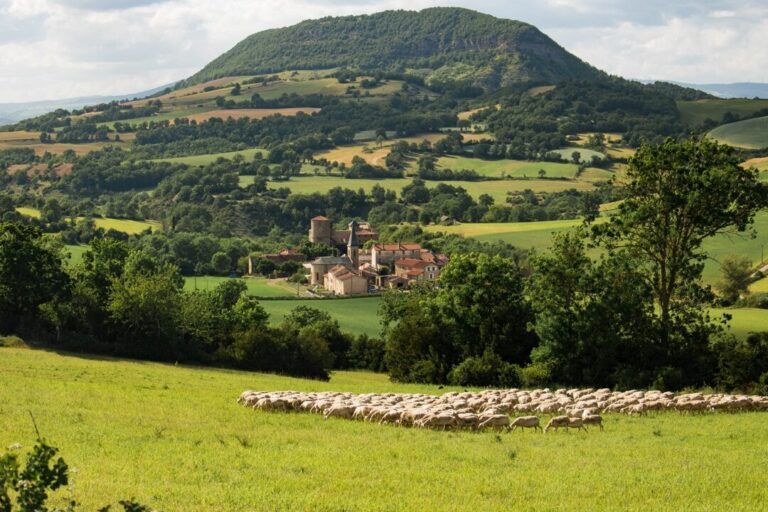 Les paysages du Larzac : une invitation à explorer le cœur sauvage de la France