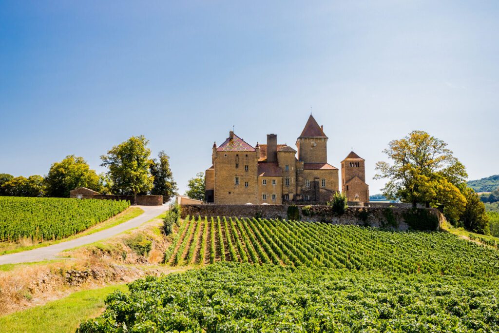 Découvrir la route des vins de Bourgogne en 3 jours : votre itinéraire complet