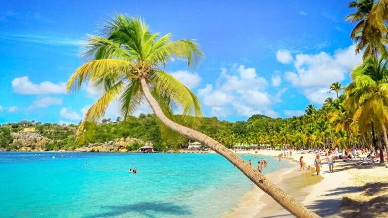Découverte de la Guadeloupe : les secrets d’une île paradisiaque