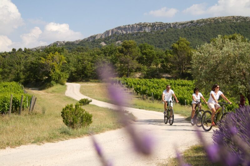 Découvrez le Beaujolais le temps d&rsquo;un week-end : oenotourisme et détente au cœur des vignes