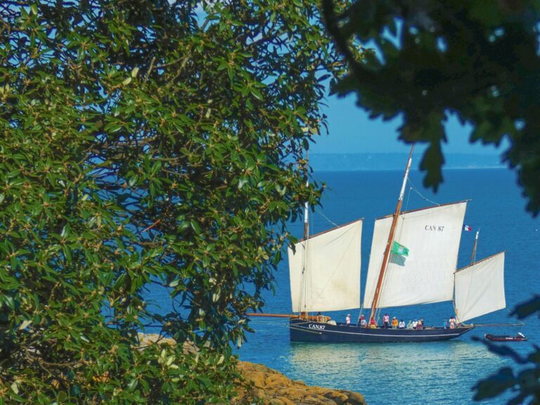 Quelle est l’importance de la voilure d’un bateau pour sa performance en mer ?
