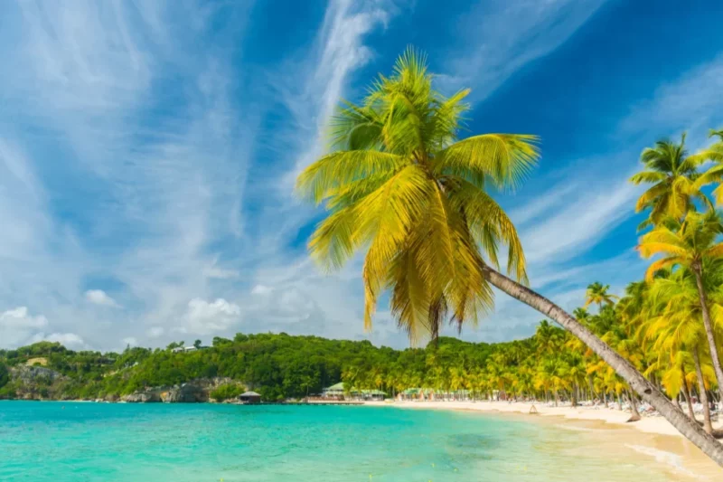 Découverte des plus belles plages de Guadeloupe : où trouver votre petit coin de paradis ?