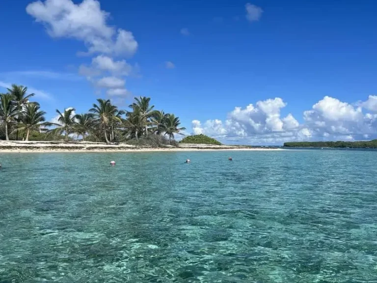 Excursion à Petite Terre : un incontournable lors de votre séjour en Guadeloupe ?