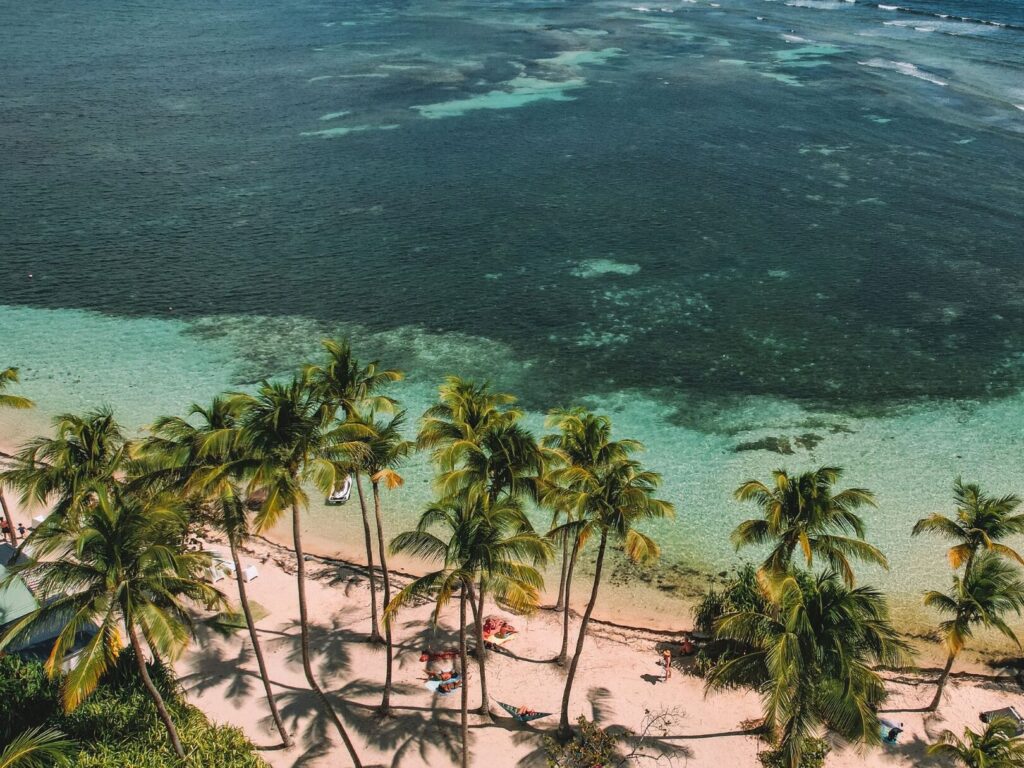 Séjour en Guadeloupe en février 2023 : que faut-il savoir pour un voyage parfait ?