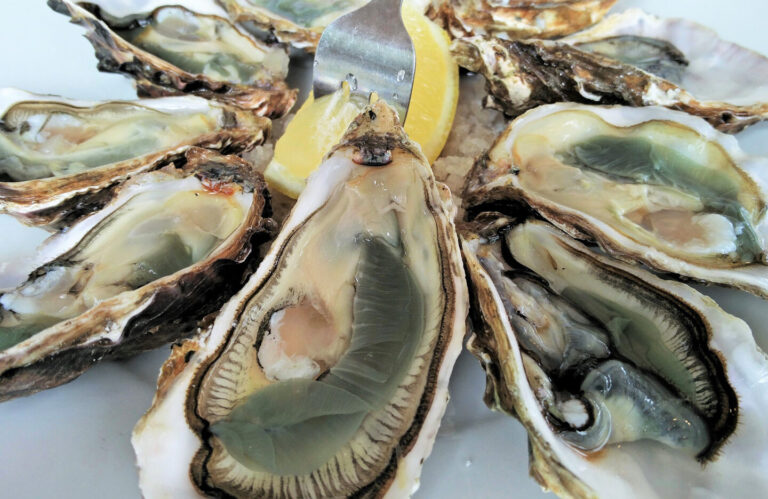 Specialités locales Aube – Goutez aux saveurs de la région