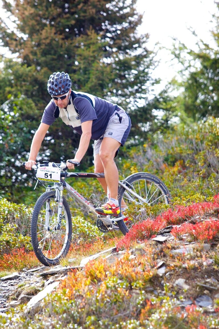 vtt de qualité