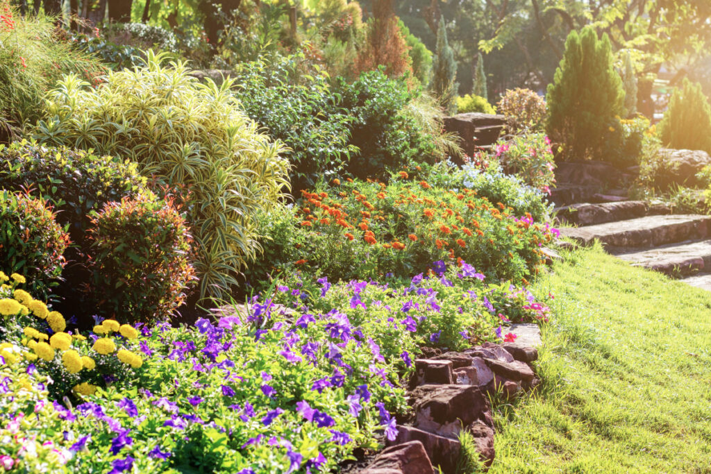 jardin fleuri Somme