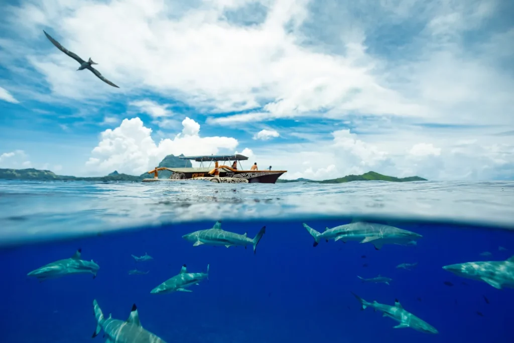 excursion à bora bora : comment choisir la meilleure expérience ?