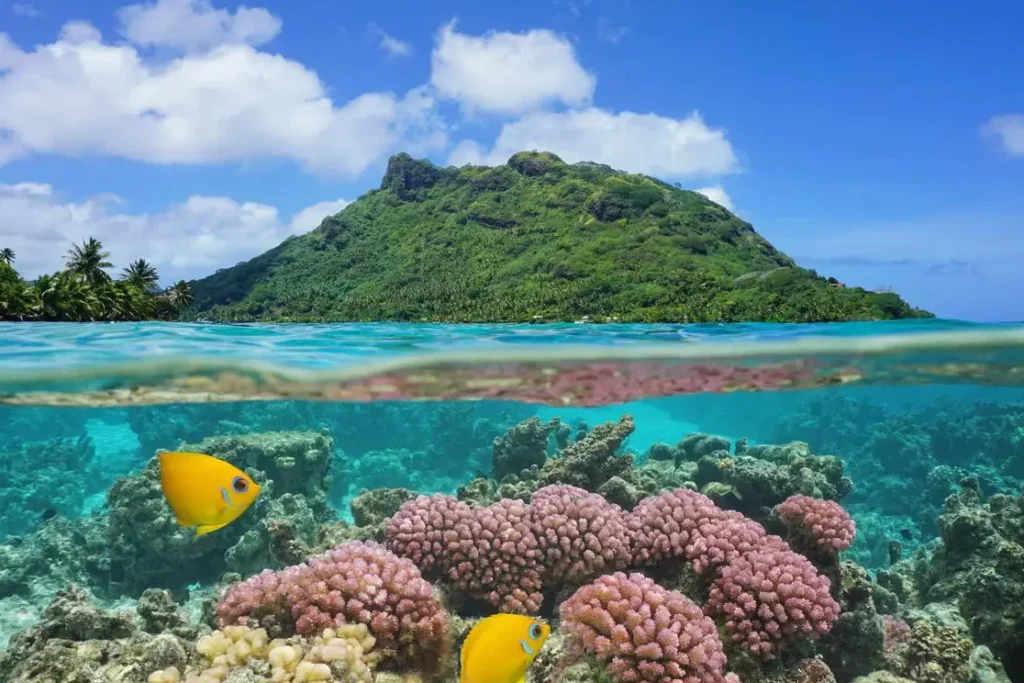 Info voyage AVEA : tout ce que vous devez savoir pour préparer votre départ