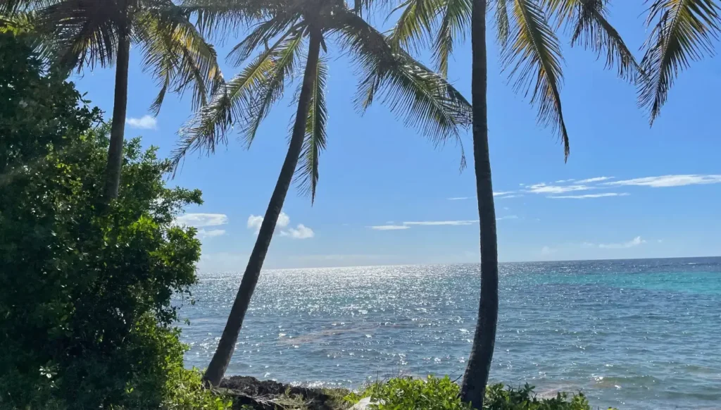 Découvrez Marie-Galante : quelle excursion choisir pour explorer l&rsquo;île authentique ?
