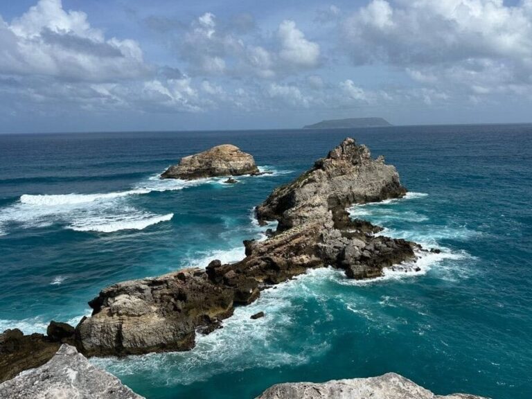 Découverte de la pointe des châteaux : joyau naturel de la Guadeloupe