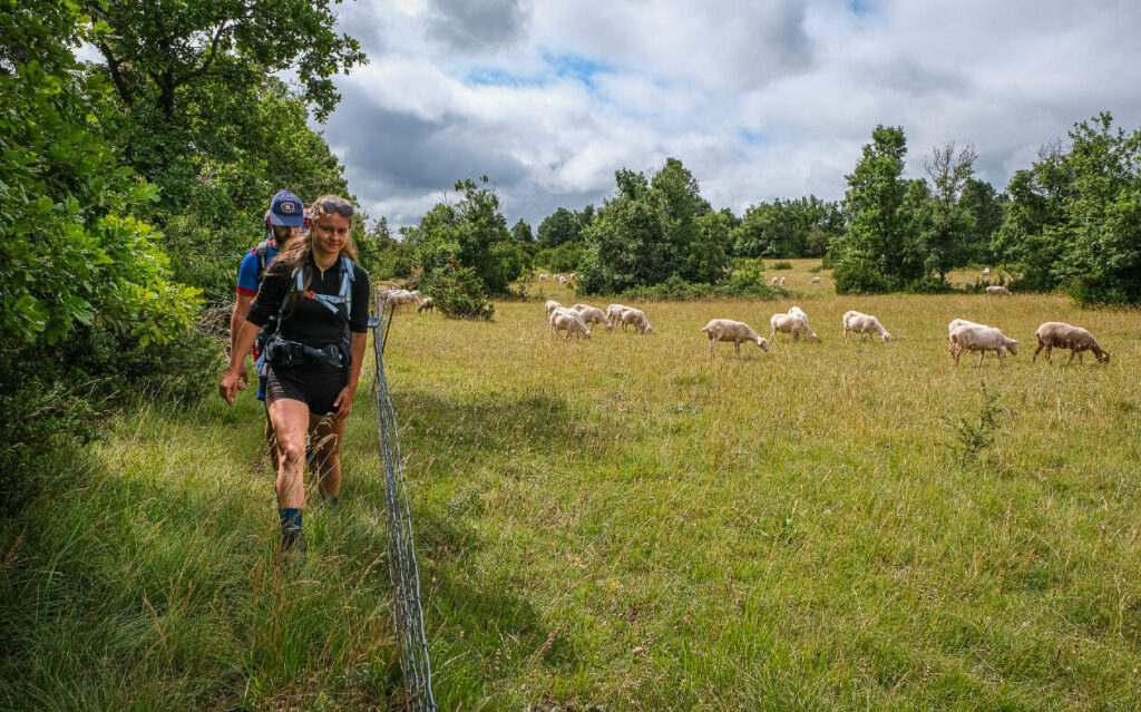 Randonnée dans le Larzac : découvrez les itinéraires incontournables