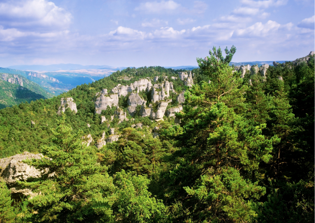 Choisir l&rsquo;authenticité de l&rsquo;Aveyron pour ses vacances