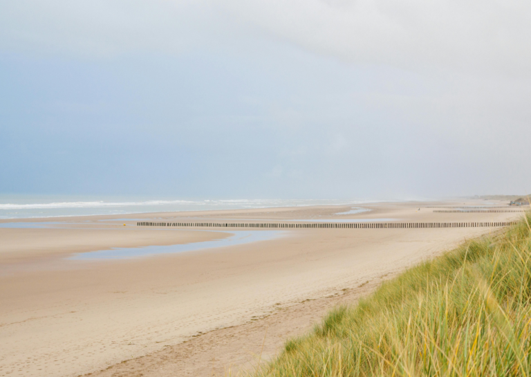 Baie de Somme