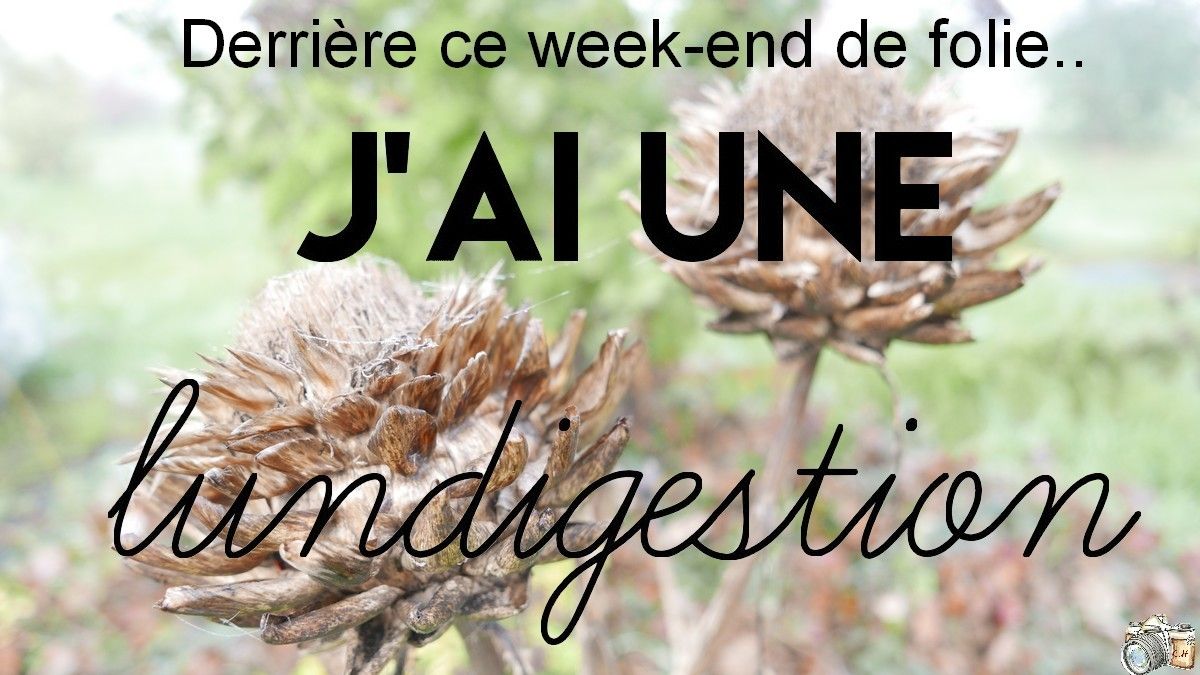 Image mystère blog d e folie
