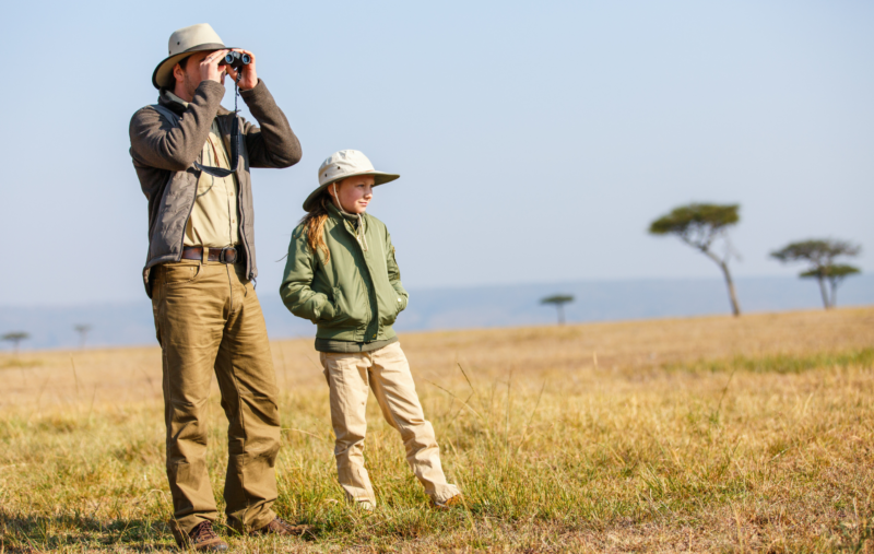 safari 