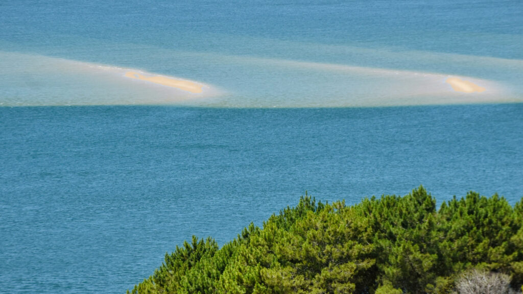 bassin d'arcachon