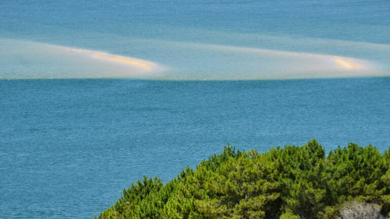 bassin d'arcachon