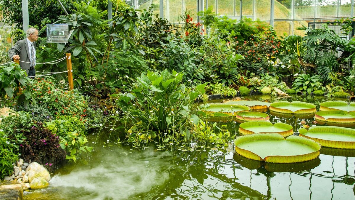 jardins suspendus le havre